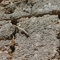 фото из отзыва ID 842100