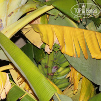 фото из отзыва ID 842100