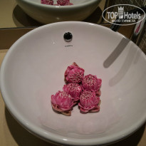 фото из отзыва ID 843003