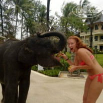 фото из отзыва ID 843003