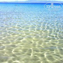 фото из отзыва ID 843052