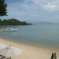 фото из отзыва ID 843274