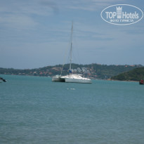 фото из отзыва ID 843274