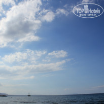 фото из отзыва ID 843438