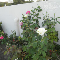 фото из отзыва ID 843581