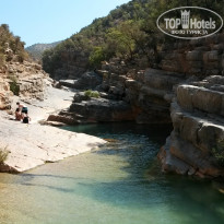 фото из отзыва ID 843736