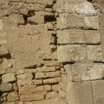 фото из отзыва ID 843736