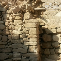 фото из отзыва ID 843736