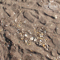 фото из отзыва ID 843775