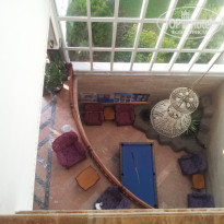 фото из отзыва ID 843809