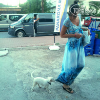 фото из отзыва ID 843809