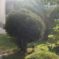 фото из отзыва ID 843829