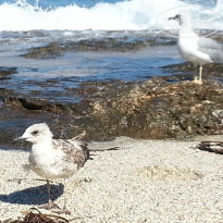 фото из отзыва ID 843616