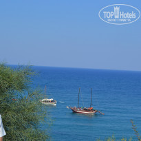 фото из отзыва ID 843616