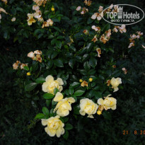 фото из отзыва ID 843782