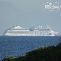 фото из отзыва ID 843998