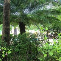 фото из отзыва ID 843783