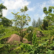 фото из отзыва ID 843783