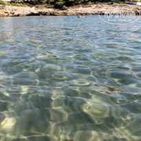 фото из отзыва ID 844038