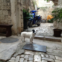 фото из отзыва ID 844189