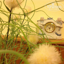 фото из отзыва ID 844237