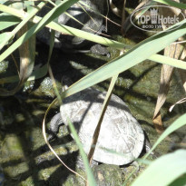 фото из отзыва ID 844291