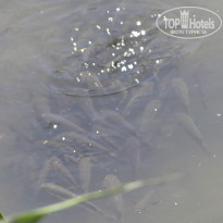 фото из отзыва ID 844291