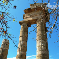 фото из отзыва ID 844332