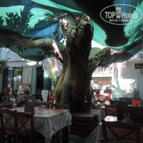 фото из отзыва ID 844351