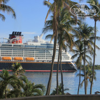 фото из отзыва ID 844444