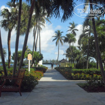 фото из отзыва ID 844444