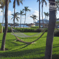 фото из отзыва ID 844444