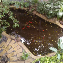 фото из отзыва ID 844599