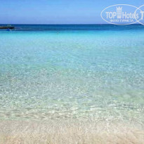 фото из отзыва ID 844667