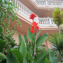 фото из отзыва ID 844923