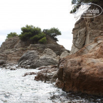 фото из отзыва ID 844206