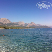 фото из отзыва ID 845108