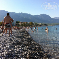 фото из отзыва ID 845108