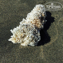 фото из отзыва ID 845197