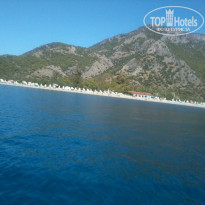 фото из отзыва ID 845310