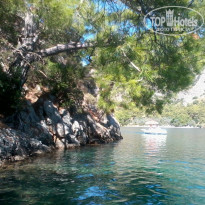 фото из отзыва ID 845310