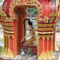 фото из отзыва ID 845342