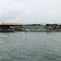 фото из отзыва ID 845342