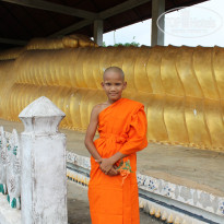 фото из отзыва ID 845342