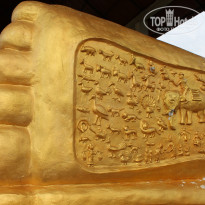 фото из отзыва ID 845342