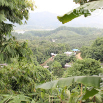 фото из отзыва ID 845342