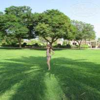 фото из отзыва ID 845854