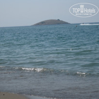 фото из отзыва ID 845462