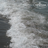 фото из отзыва ID 845462