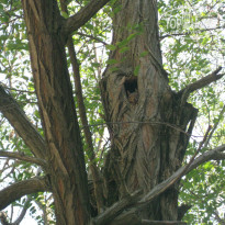 фото из отзыва ID 845462